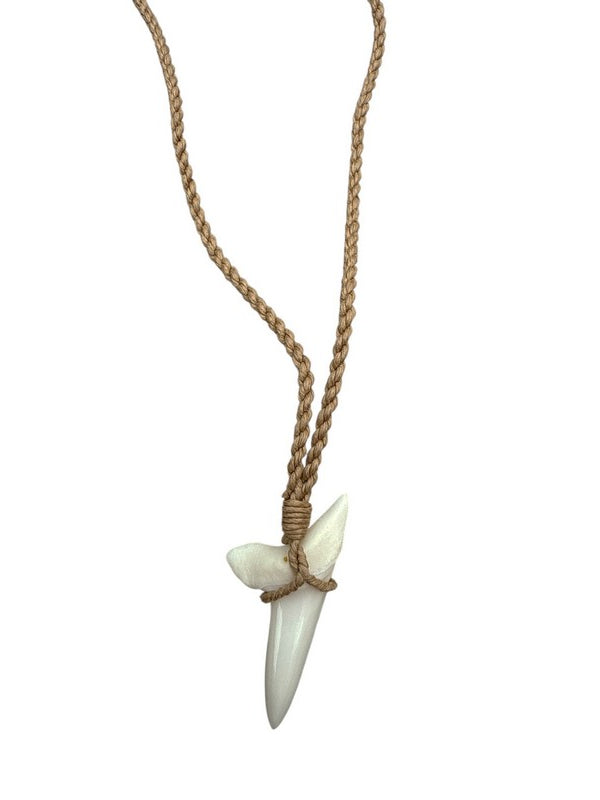 Necklace with a shark tooth pendant on a white background