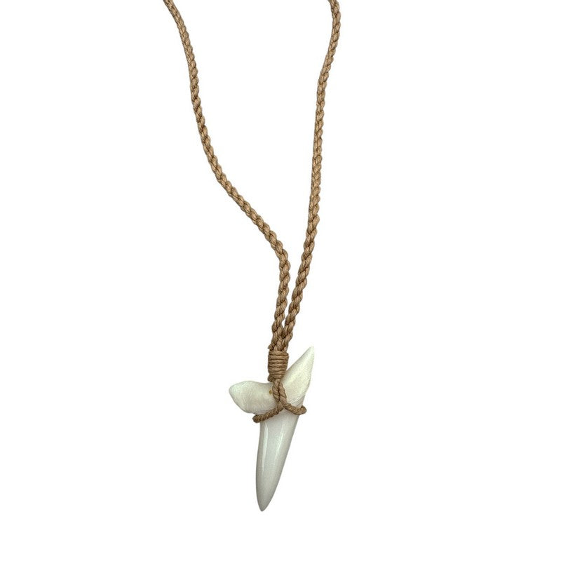 Necklace with a shark tooth pendant on a white background