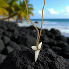 Shark tooth necklace on a rock with a beach and palm trees in the background