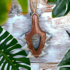 Leiomano Koa Wood w/ Shark Teeth Necklace