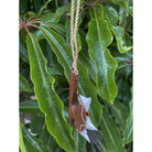 Axe Club w/ Shark Teeth | Polynesian Necklace