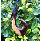 Wood Hawaiian Makua