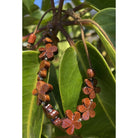 Hawaiian Koa Wood All Plumeria Bracelet