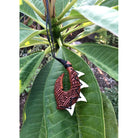 Hawaiian Fish Hook Necklace with Engravings