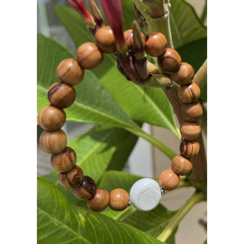 Olive Wood and Shiva Shell Bracelet