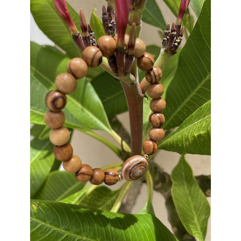Olive Wood and Sundial Shell Bracelet