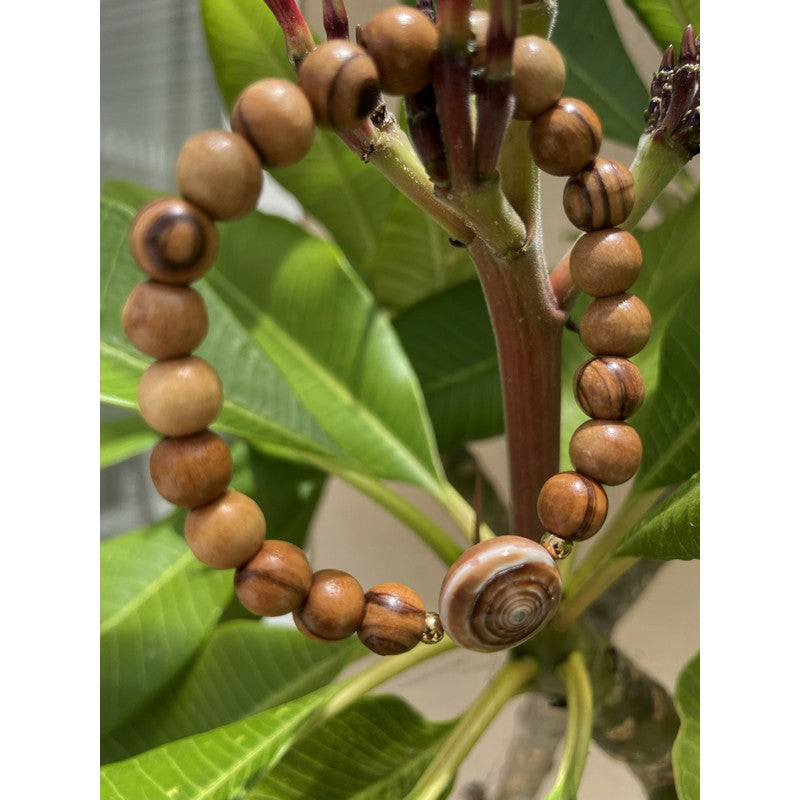 Olive Wood and Sundial Shell Bracelet