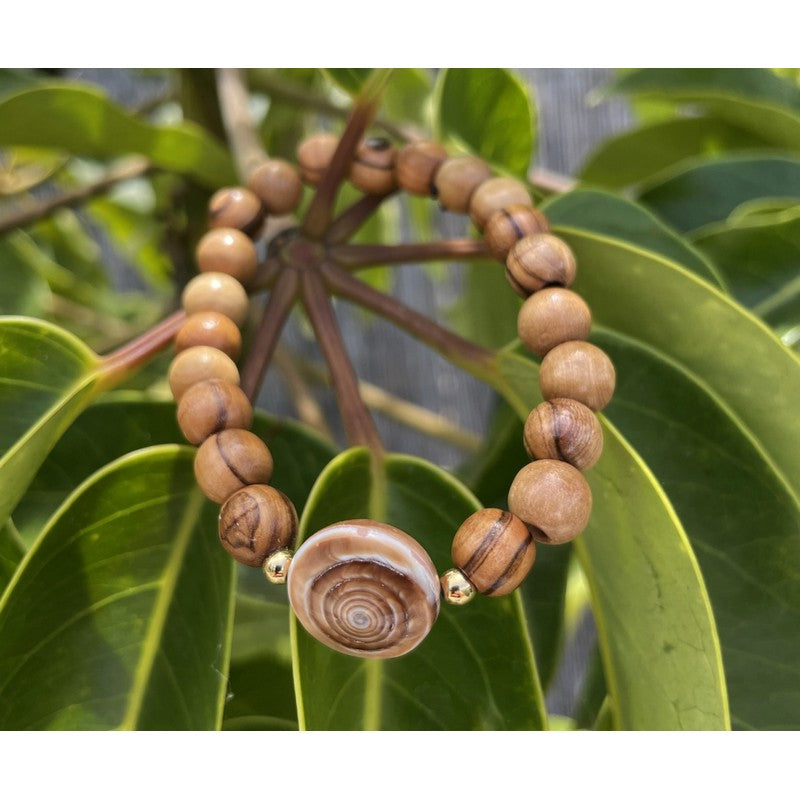 Olive Wood and Sundial Shell Bracelet