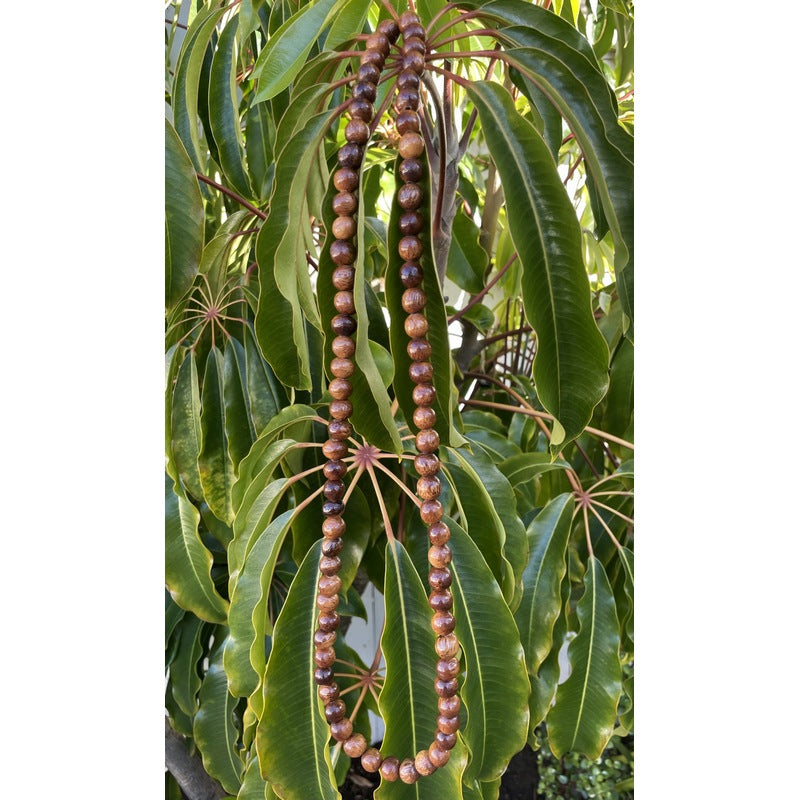 Hawaiian Koa Wood Necklace 32" | 12mm Beads