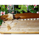 Polynesian Leiomano Knife Club | Polynesian Heritage