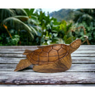 Hawaiian Sea Turtle | Ocean Life 24"