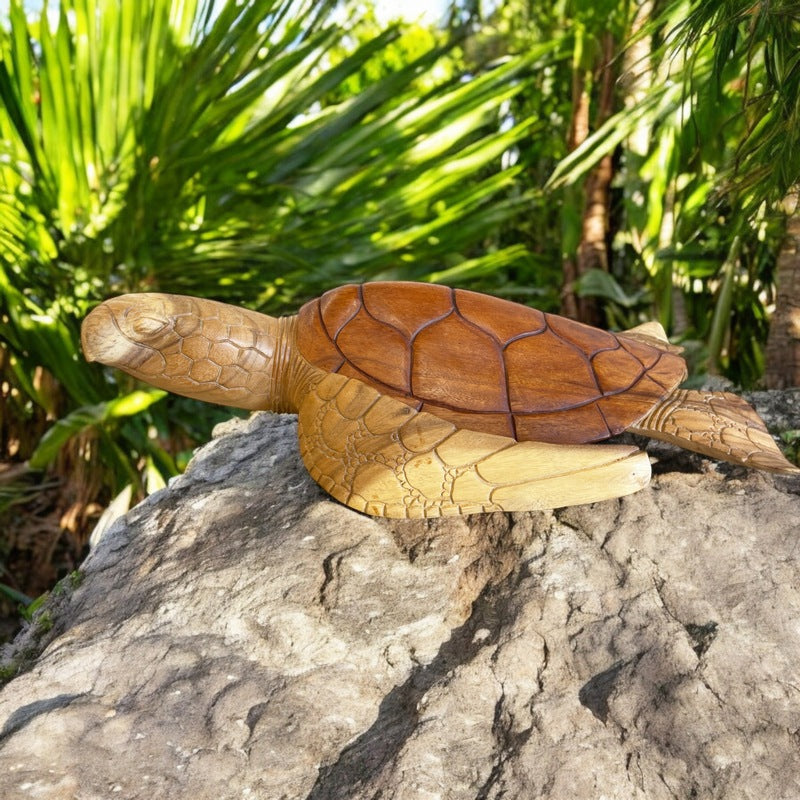 Hawaiian Sea Turtle | Ocean Life 24
