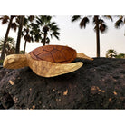 Large Hawaiian Sea Turtle | Ocean Life 24"