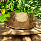 Double Honu Wooden Bowl 12"