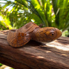 Hawaiian Sea Turtle with Palm Tree | Ocean Life 12"