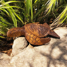 Hawaiian Sea Turtle with Palm Tree | Ocean Life 12"