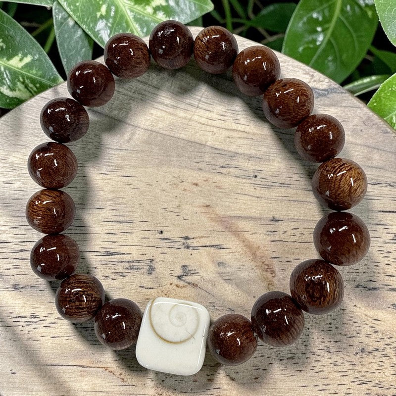 Koa and Shiva Shell Stretch Bracelet 10mm