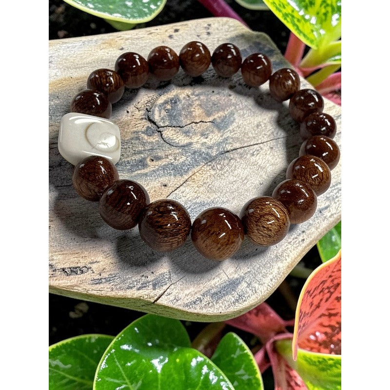 Koa and Shiva Shell Stretch Bracelet 10mm