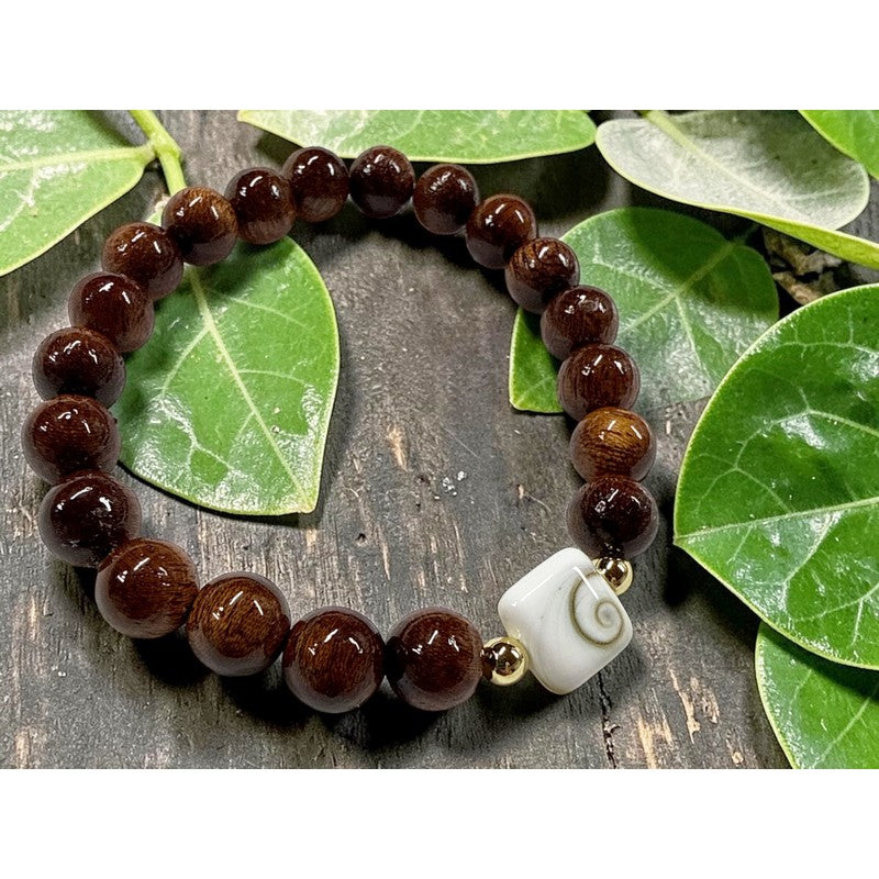 Koa and Shiva Shell Stretch Bracelet 8mm