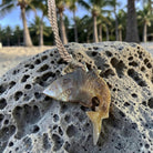 Mother of Pearl Shark Necklace