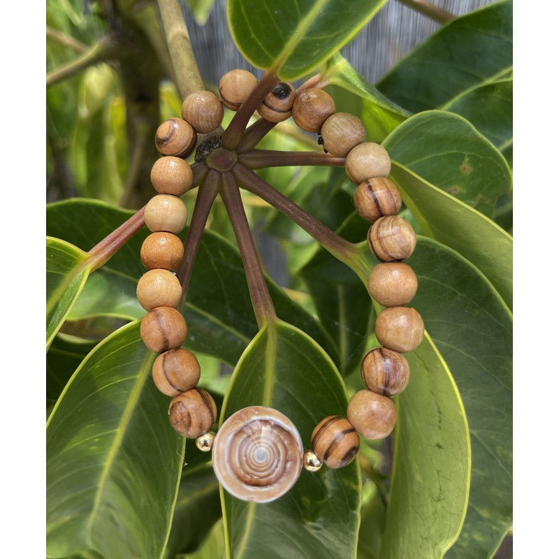 Olive Wood and Sundial Shell Bracelet